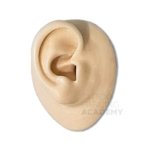 Silicone Ear practice part